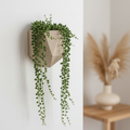 3D Printed Hanging Planter — Sustainable Wall Planter for Indoor Plants