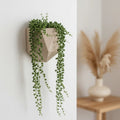3d-printed-hanging-planter-sustainable-wall-planter-for-indoor-plants_1