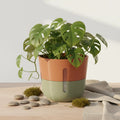3D Printed Self-Watering Plant Pot — Sustainable Indoor Planter