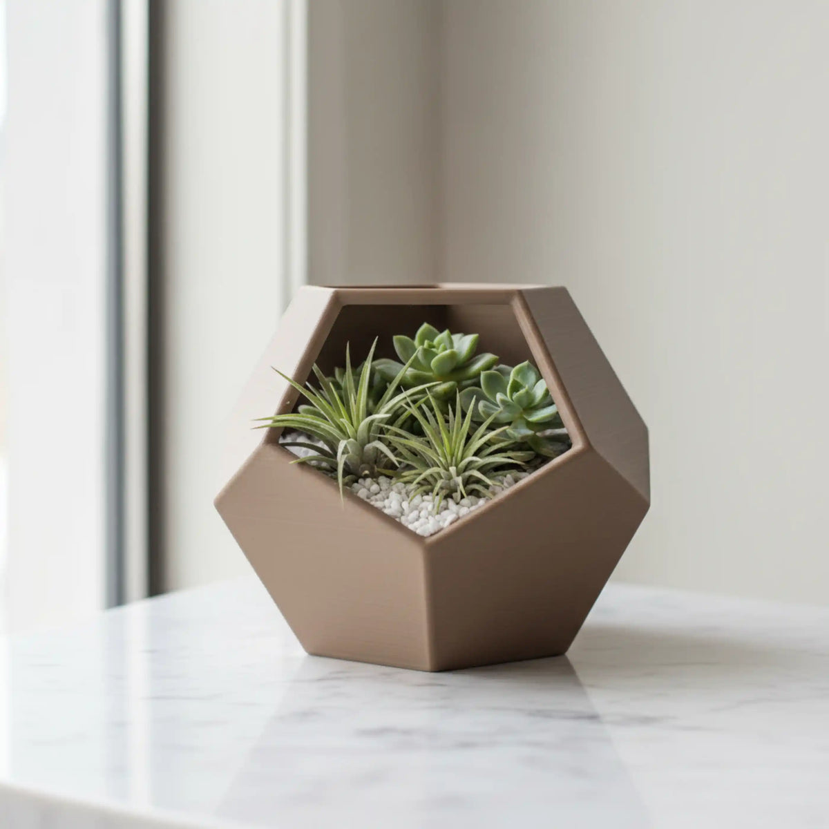 3D Printed Terrarium — Sustainable Geometric Planter for Succulents & Air Plants