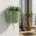 Botanical Wall Planter — Recycled & Customisable | Balcony Wellness